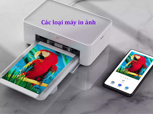 Địa chỉ thuê máy photocopy màu toshiba 2024
