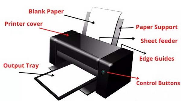 Địa chỉ thuê máy photocopy 2024